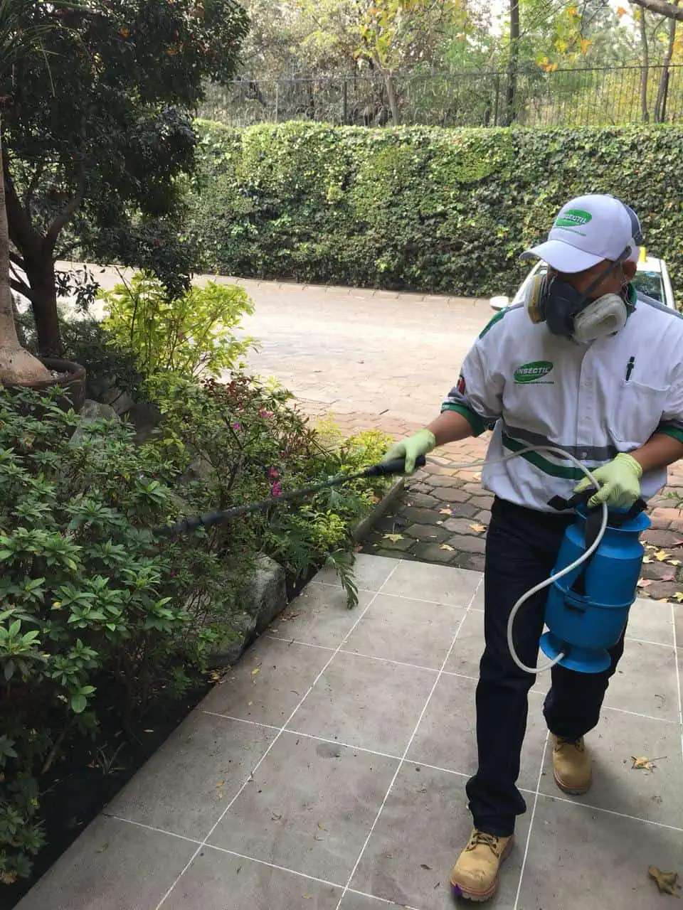 Servicio de fumigación en CDMX, Querétaro, Ciudad de México, Estado de México