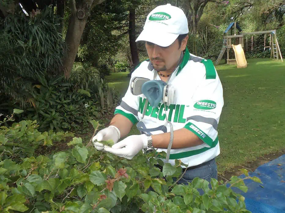 Tratamientos a jardines en CDMX